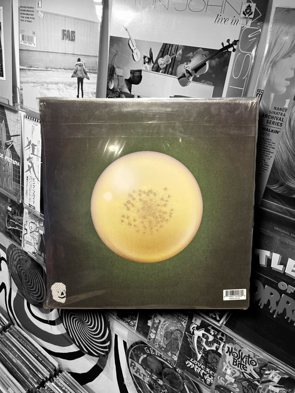 THEE OH SEES - AN ODD ENTRANCES