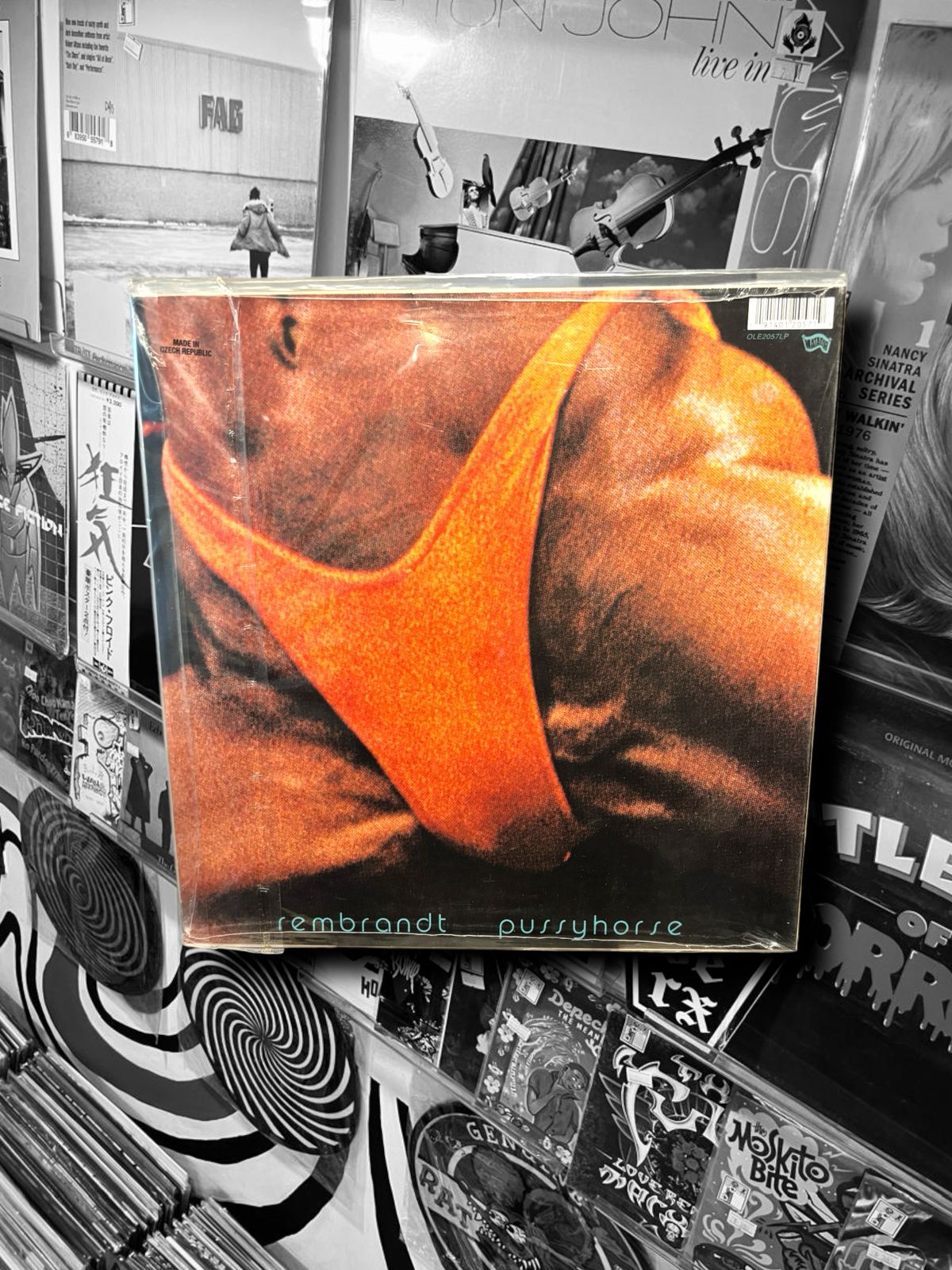 BUTTHOLE SURFERS - REMBRANDT PUSSYHORSE