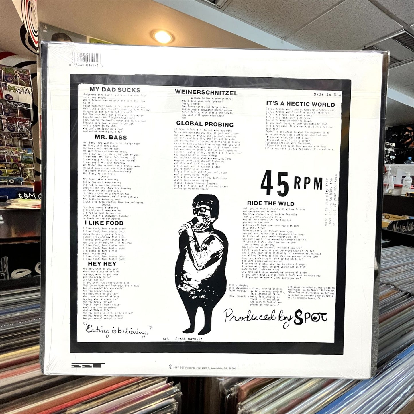 DESCENDENTS - BONUS FAT