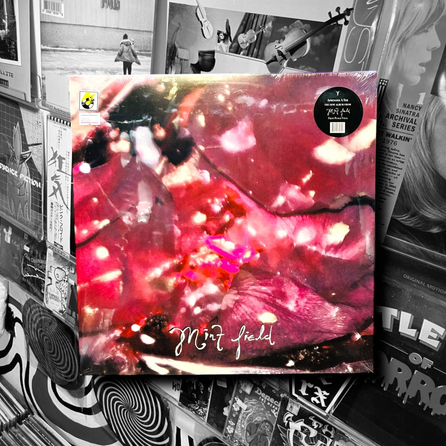 MINT FIELD - APRENDER SER