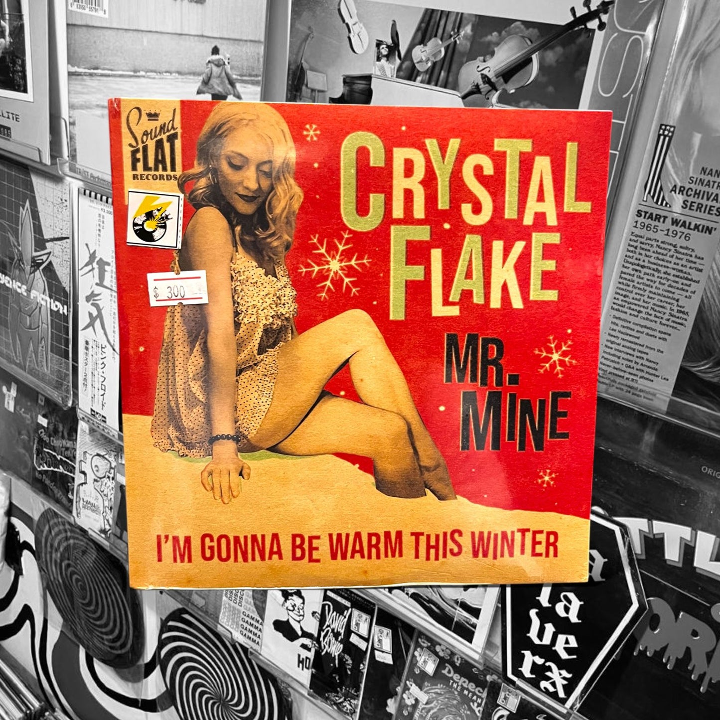 CRYSTAL FLAKE - Mr. MINE