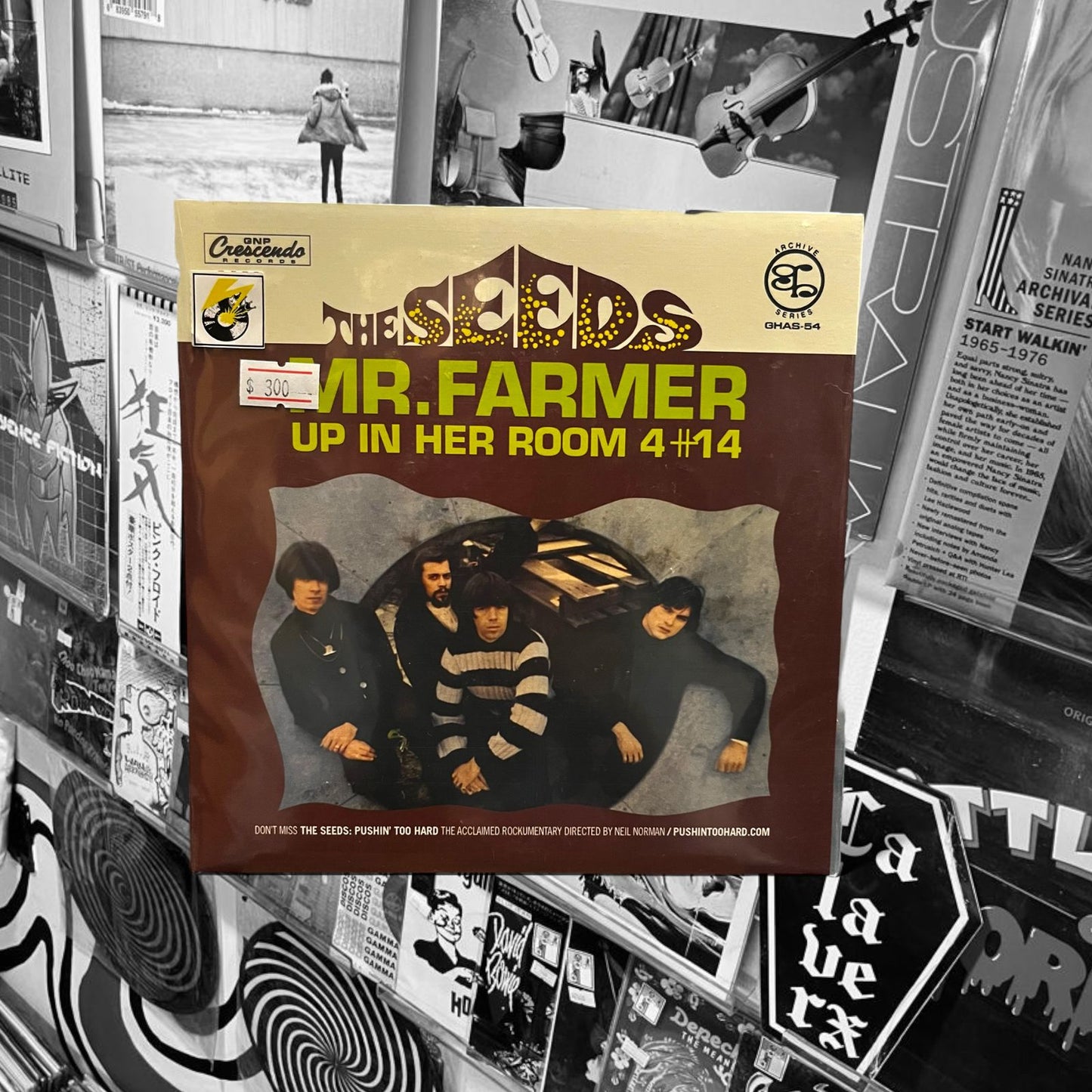 THE SEEDS - Mr. FAMER