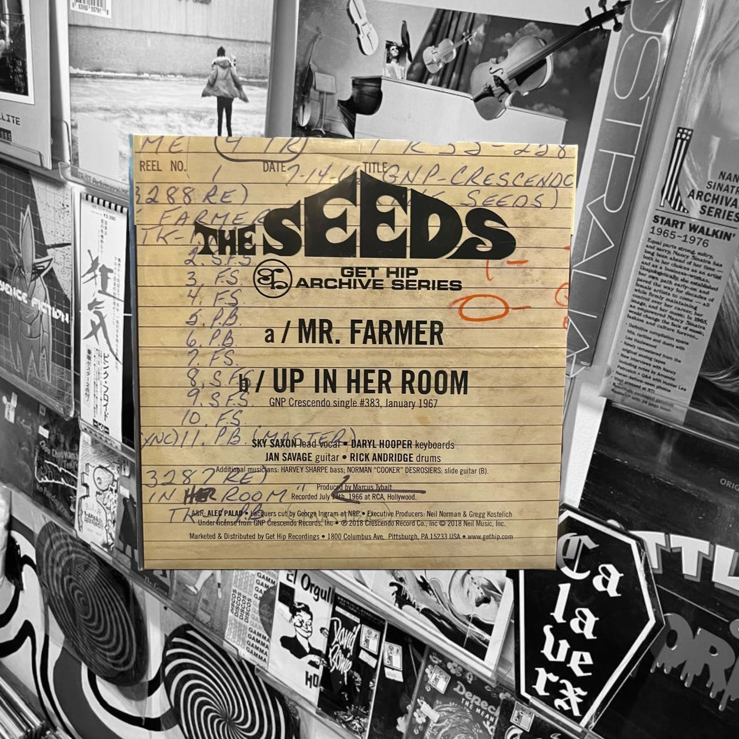 THE SEEDS - Mr. FAMER