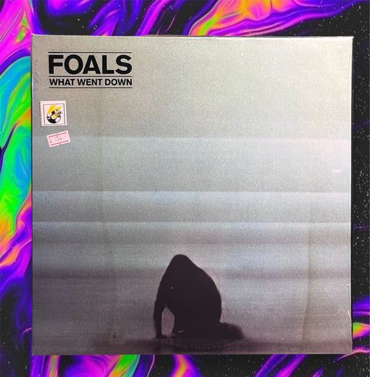FOALS - WHAT WENT DOWN